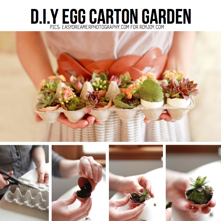 Egg Carton DIY (10+ Awesome D.I.Y Ideas & Tutorials)