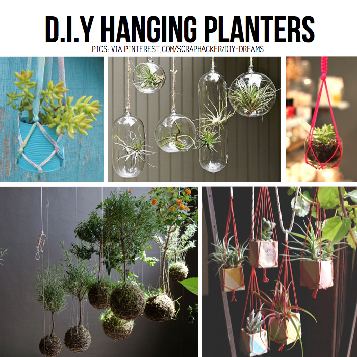 Planter Ideas