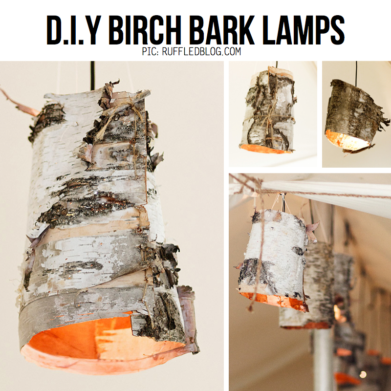 Birch Bark lamps, DIY from RuffledBlogs (with pics by Ellagraph 